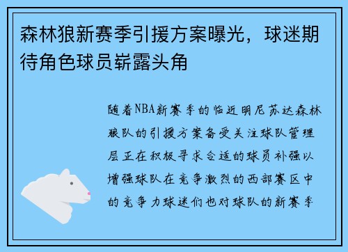 森林狼新赛季引援方案曝光，球迷期待角色球员崭露头角